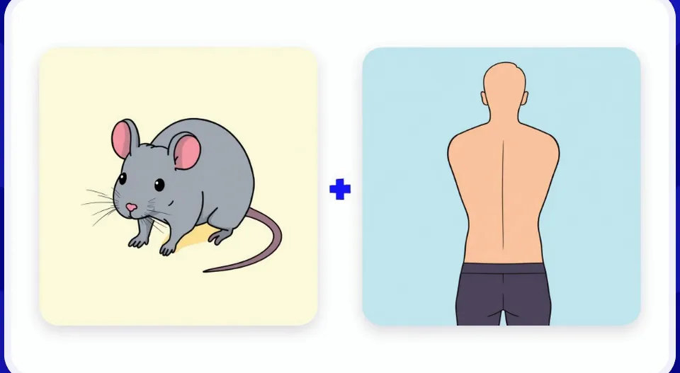 Rébus n°11 : 2 images à lire à voix haute